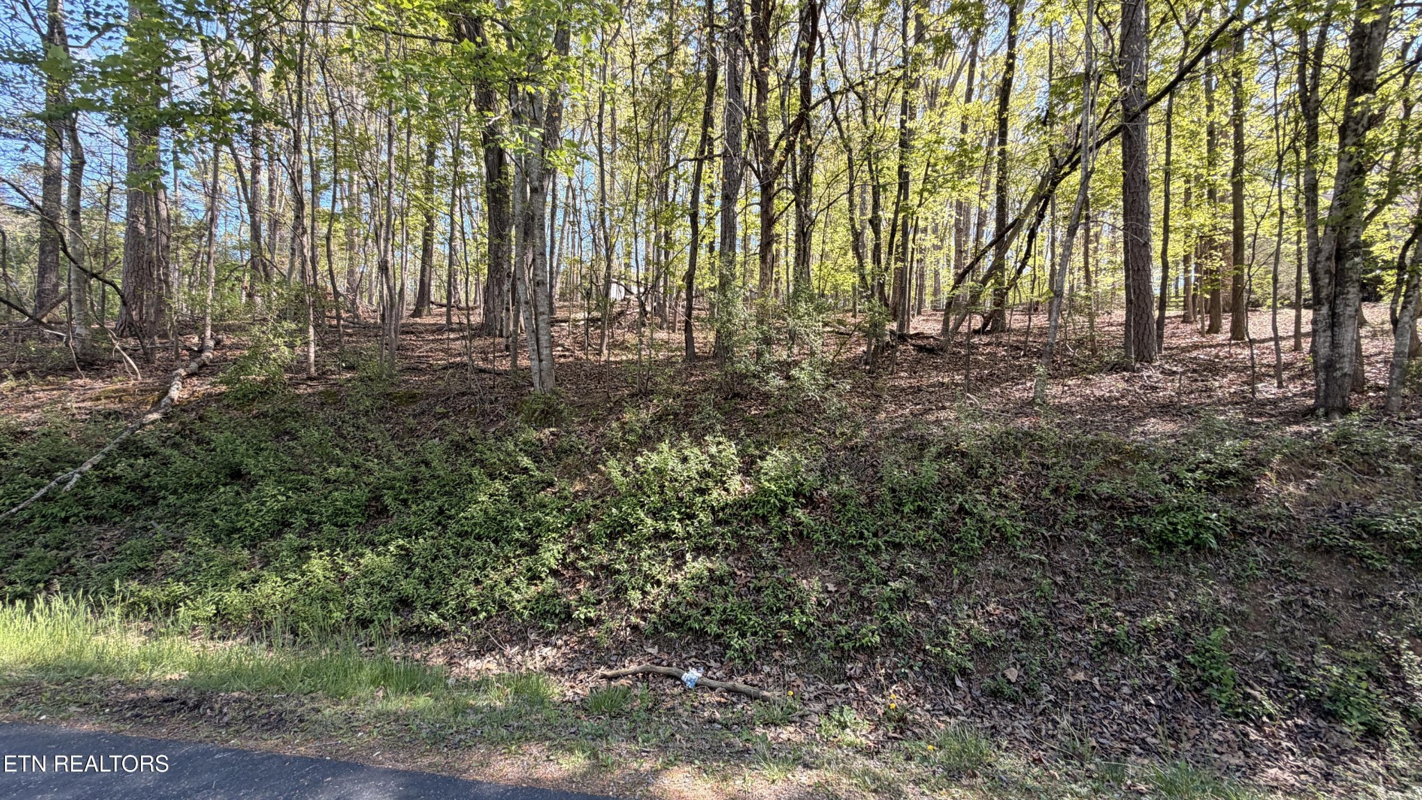 280 Ootsima Way Loudon, TN 37774 - Photo 4 of 4