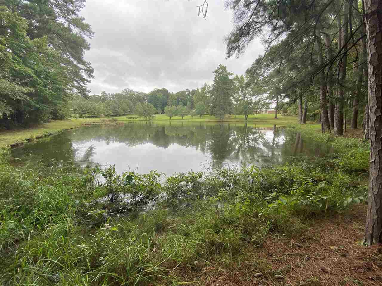 0 Myers Road Florence, MS 39073 - Photo 1 of 50 Photo 1