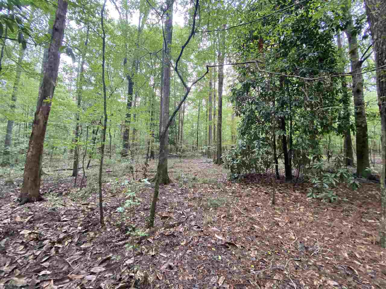 0 Myers Road Florence, MS 39073 - Photo 11 of 50 Photo 11