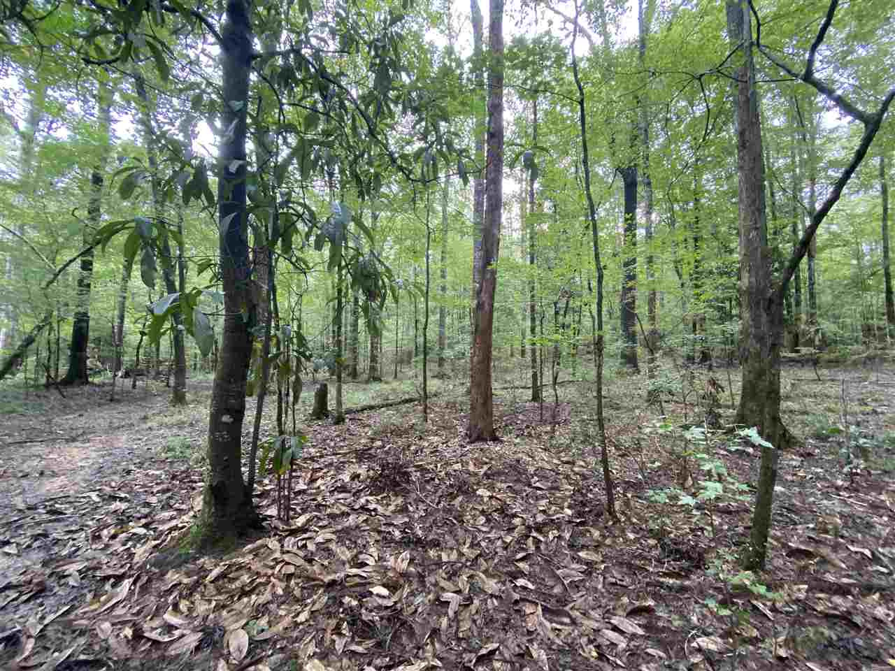 0 Myers Road Florence, MS 39073 - Photo 12 of 50 Photo 12
