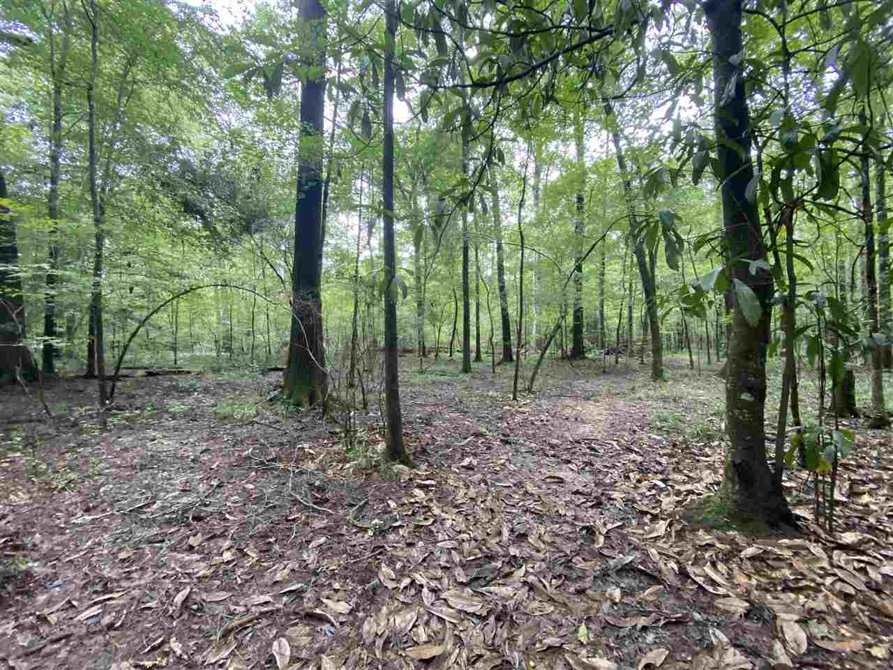 0 Myers Road Florence, MS 39073 - Photo 13 of 50 Photo 13