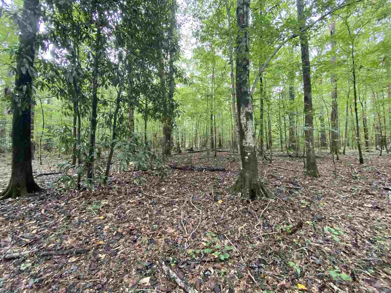 0 Myers Road Florence, MS 39073 - Photo 15 of 50 Photo 15