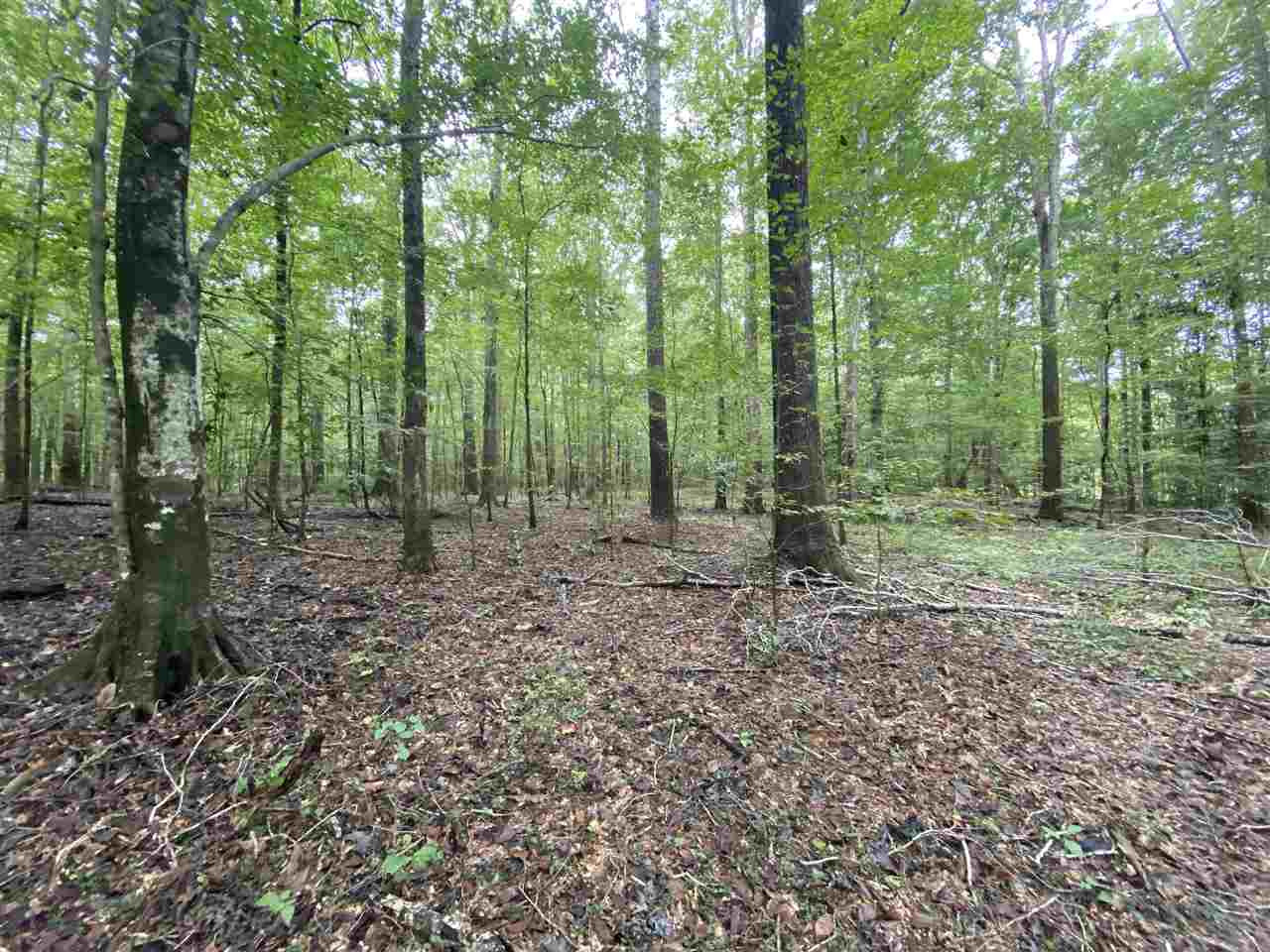 0 Myers Road Florence, MS 39073 - Photo 16 of 50 Photo 16