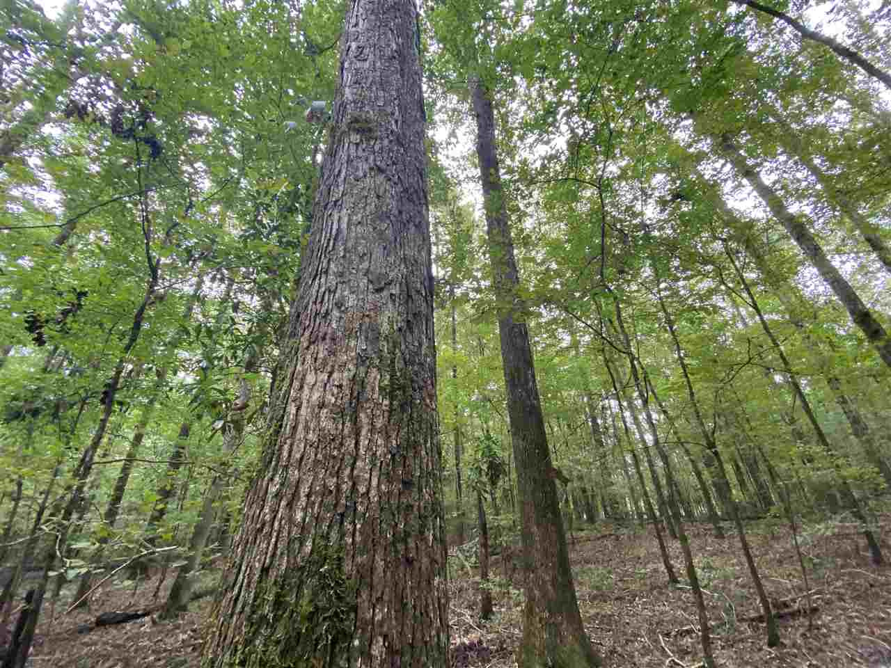 0 Myers Road Florence, MS 39073 - Photo 18 of 50 Photo 18