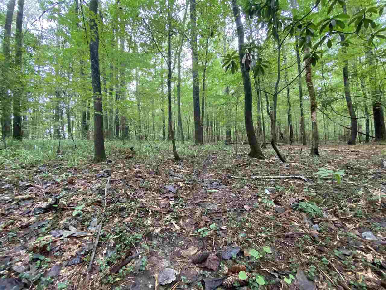 0 Myers Road Florence, MS 39073 - Photo 19 of 50 Photo 19
