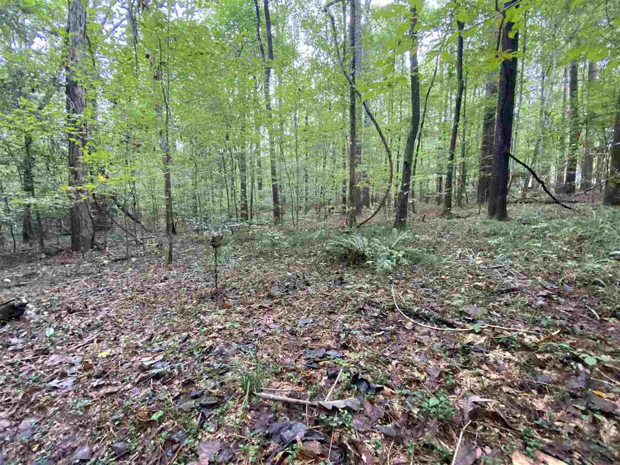 0 Myers Road Florence, MS 39073 - Photo 20 of 50 Photo 20