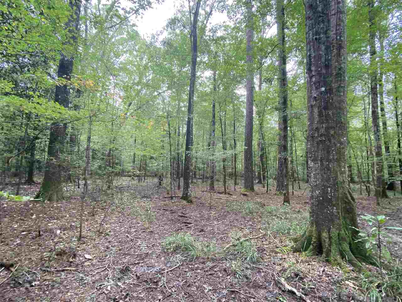 0 Myers Road Florence, MS 39073 - Photo 24 of 50 Photo 24