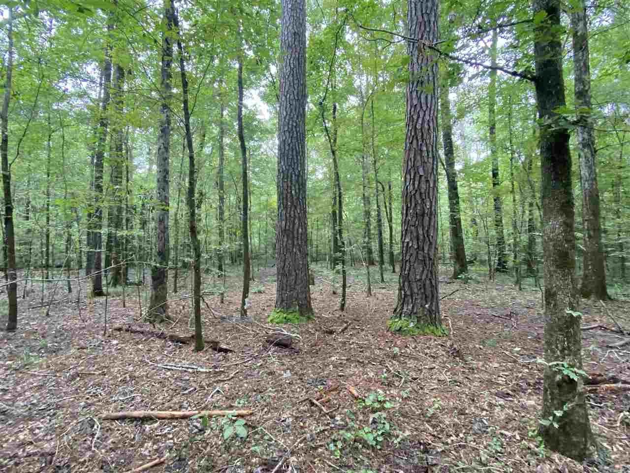 0 Myers Road Florence, MS 39073 - Photo 25 of 50 Photo 25