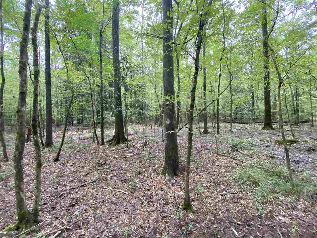 0 Myers Road Florence, MS 39073 - Photo 26 of 50 Photo 26