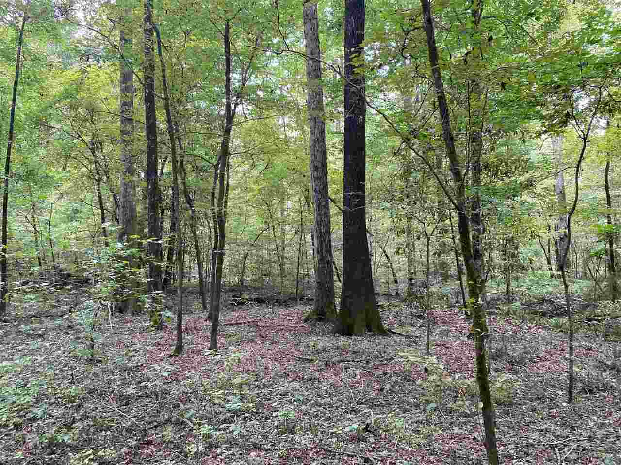 0 Myers Road Florence, MS 39073 - Photo 27 of 50 Photo 27