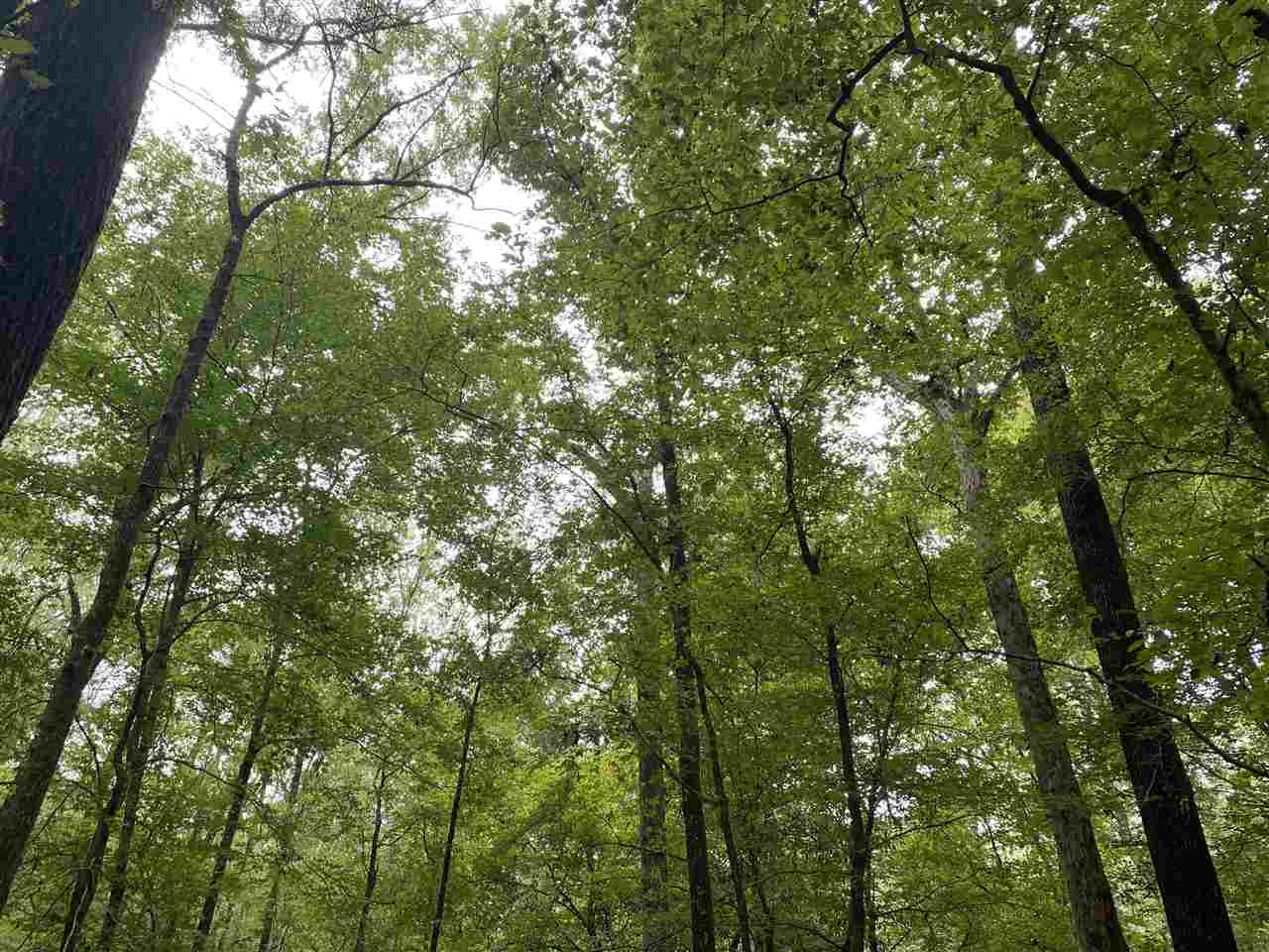 0 Myers Road Florence, MS 39073 - Photo 28 of 50 Photo 28