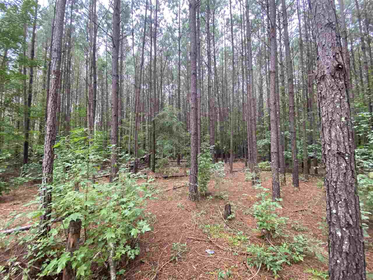 0 Myers Road Florence, MS 39073 - Photo 3 of 50 Photo 3