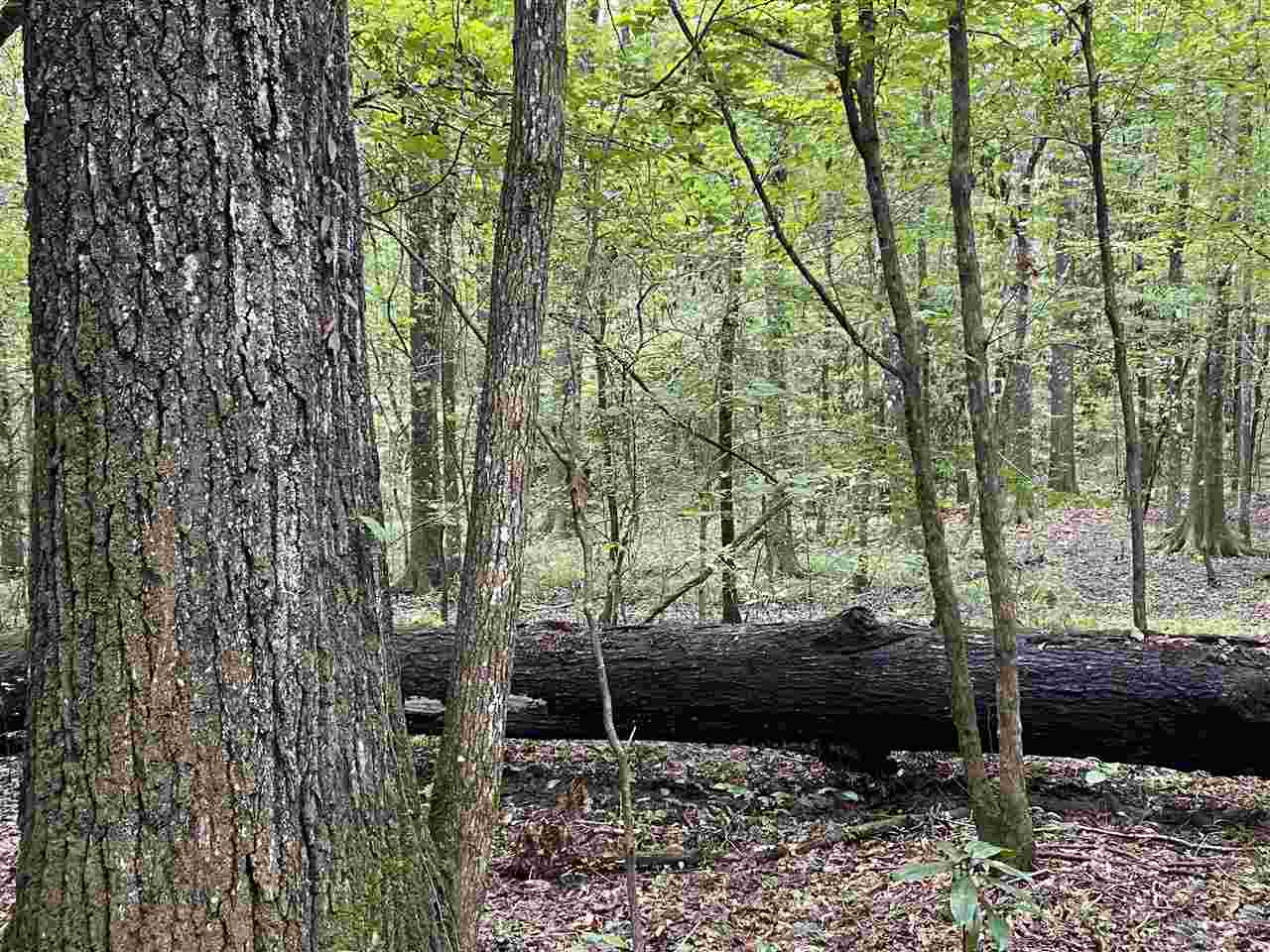 0 Myers Road Florence, MS 39073 - Photo 32 of 50 Photo 32