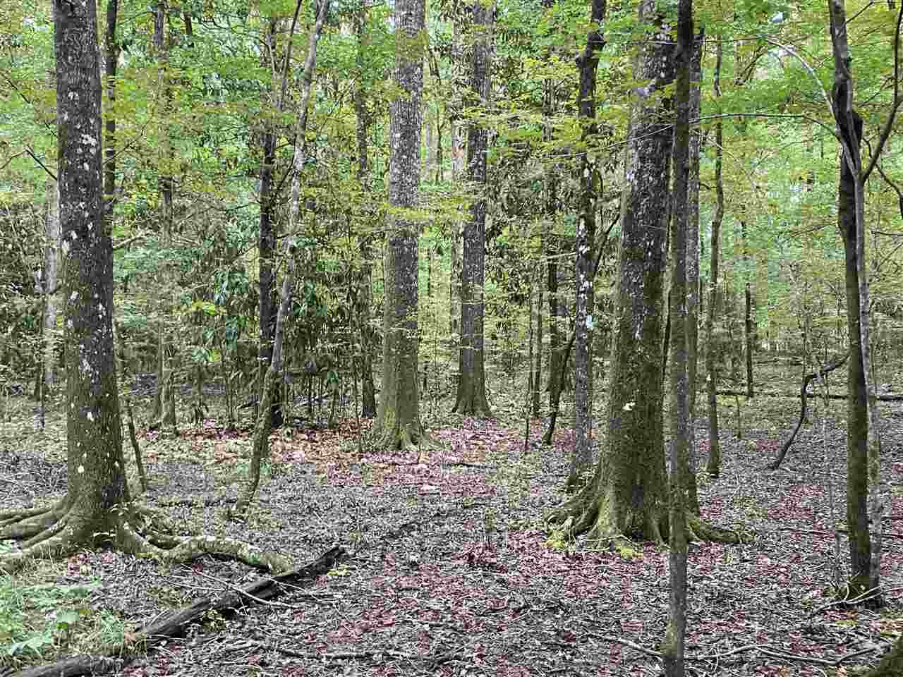 0 Myers Road Florence, MS 39073 - Photo 33 of 50 Photo 33