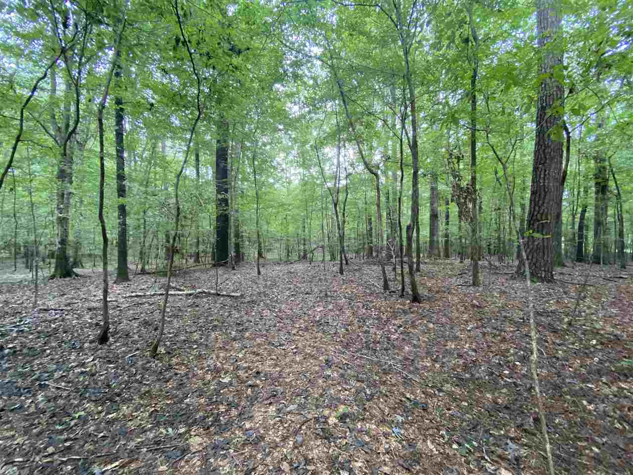 0 Myers Road Florence, MS 39073 - Photo 34 of 50 Photo 34