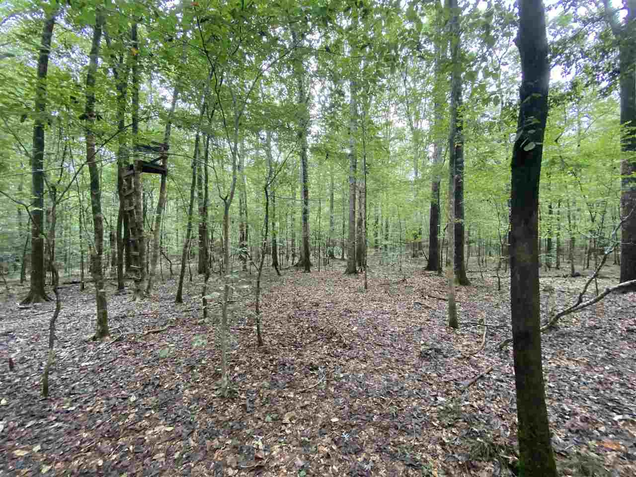 0 Myers Road Florence, MS 39073 - Photo 36 of 50 Photo 36