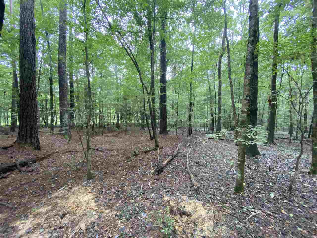 0 Myers Road Florence, MS 39073 - Photo 37 of 50 Photo 37