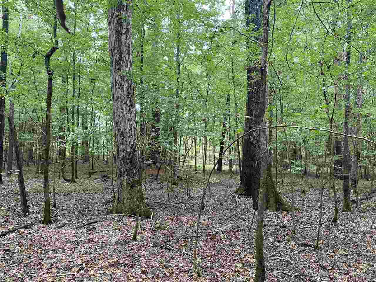 0 Myers Road Florence, MS 39073 - Photo 39 of 50 Photo 39