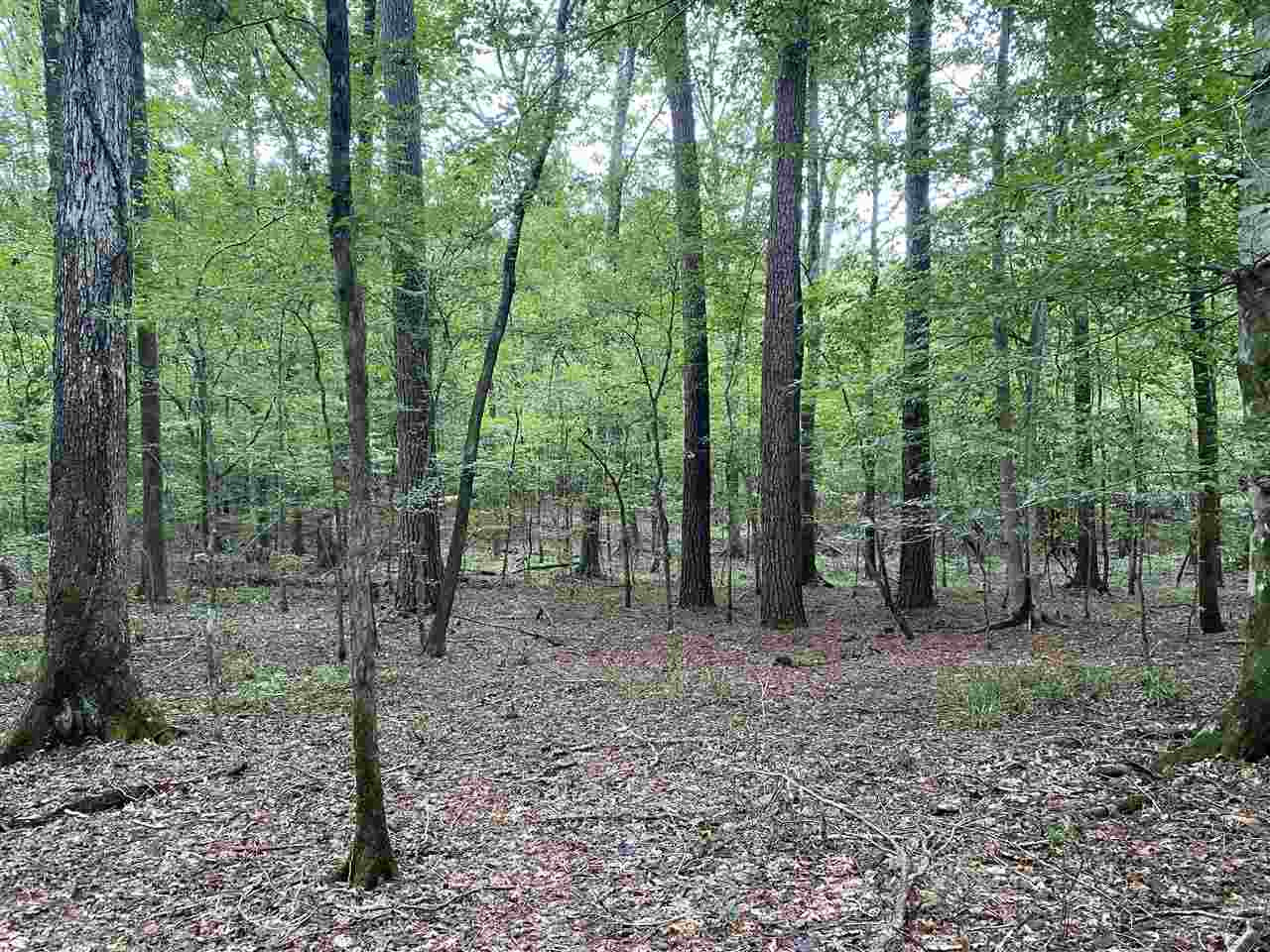 0 Myers Road Florence, MS 39073 - Photo 40 of 50 Photo 40