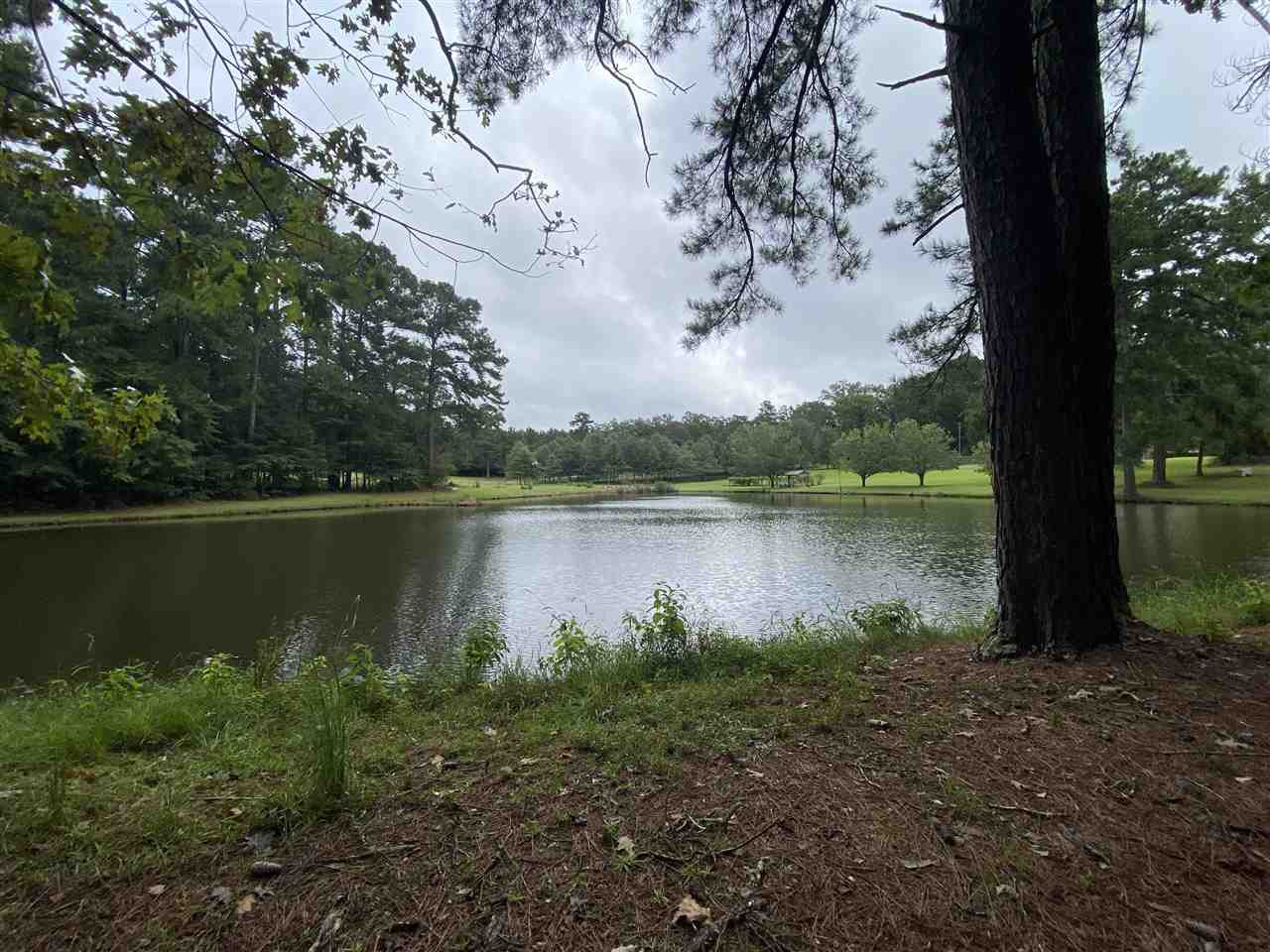0 Myers Road Florence, MS 39073 - Photo 4 of 50 Photo 4