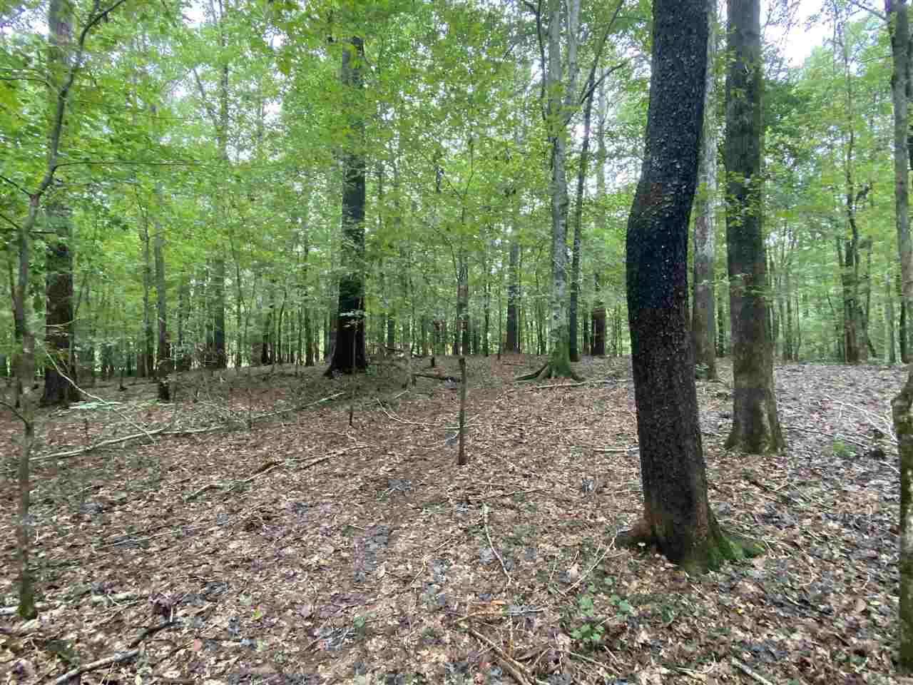 0 Myers Road Florence, MS 39073 - Photo 42 of 50 Photo 42