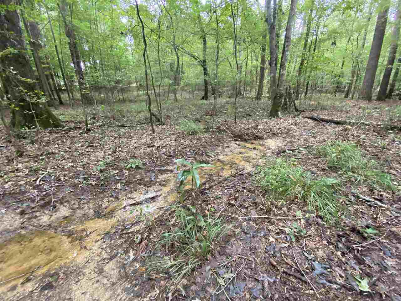0 Myers Road Florence, MS 39073 - Photo 45 of 50 Photo 45