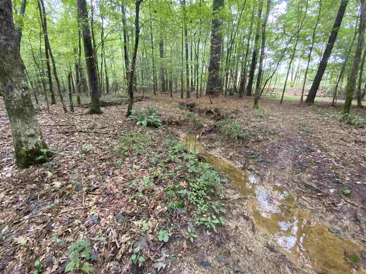 0 Myers Road Florence, MS 39073 - Photo 46 of 50 Photo 46