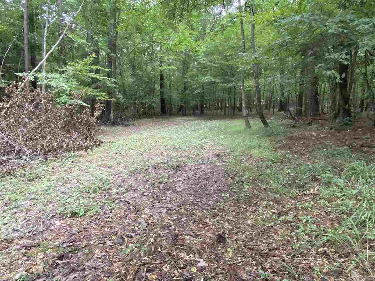 0 Myers Road Florence, MS 39073 - Photo 47 of 50 Photo 47