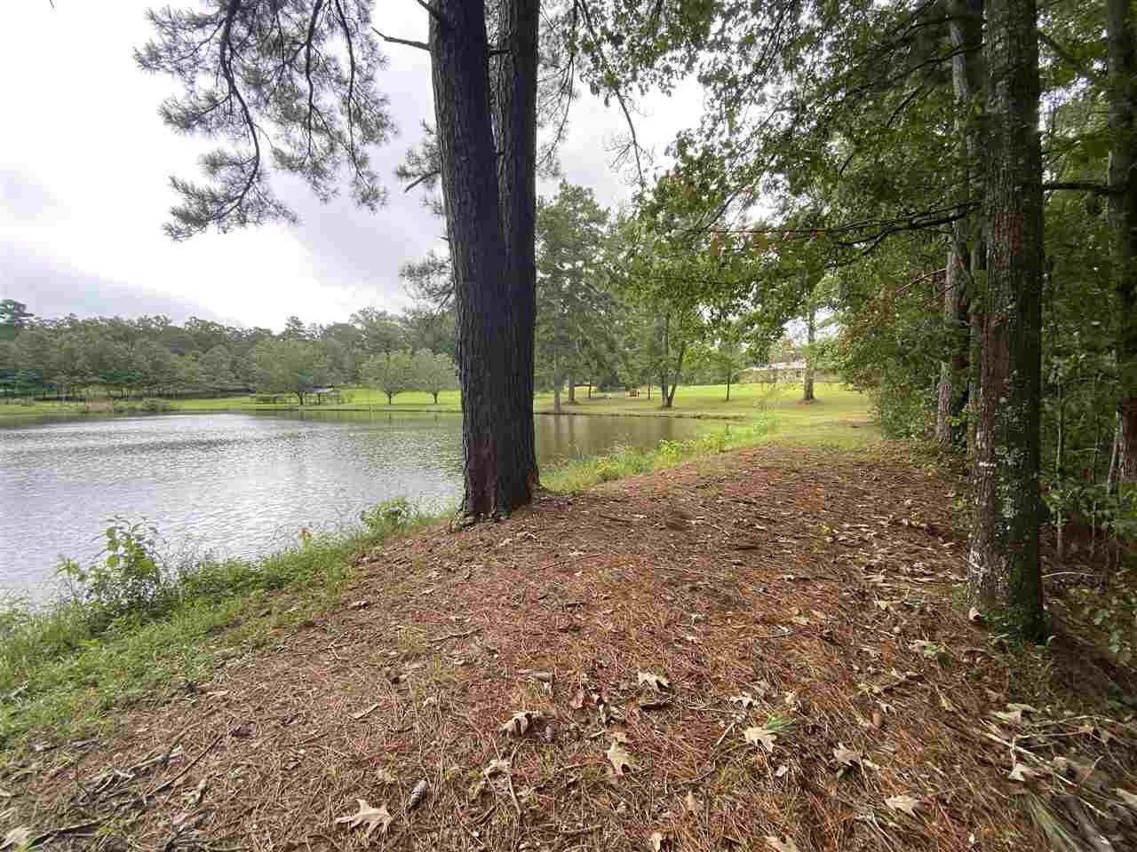 0 Myers Road Florence, MS 39073 - Photo 50 of 50 Photo 50