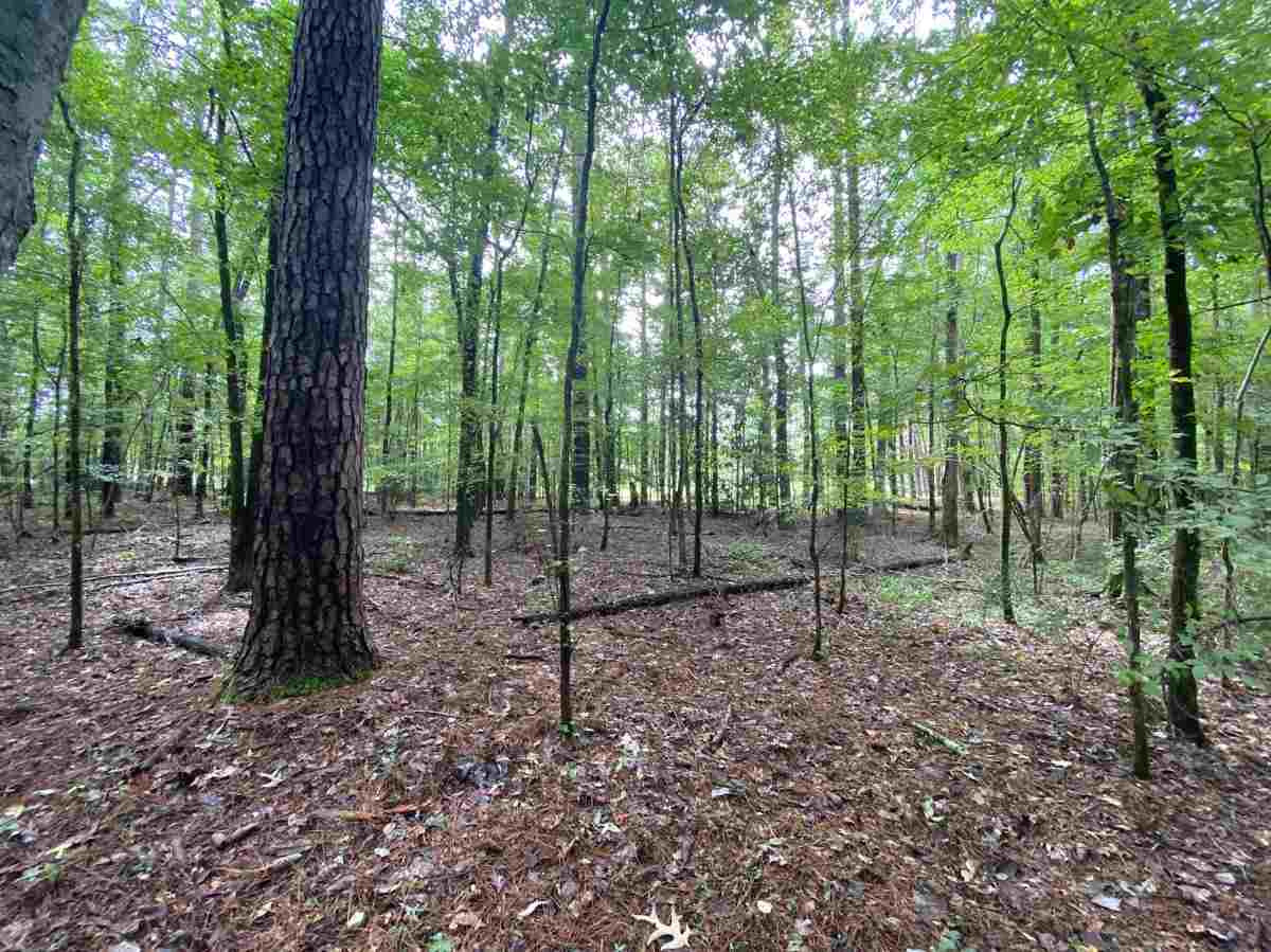 0 Myers Road Florence, MS 39073 - Photo 7 of 50 Photo 7