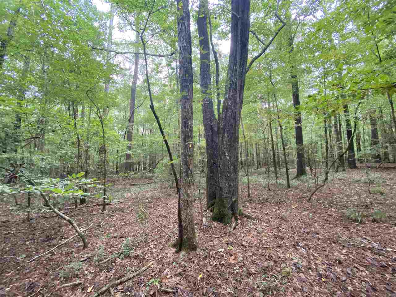 0 Myers Road Florence, MS 39073 - Photo 8 of 50 Photo 8