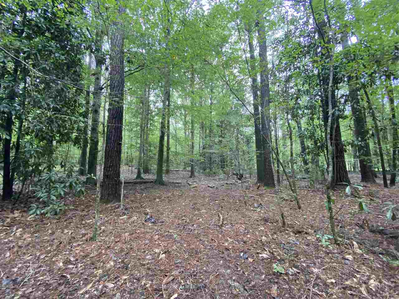 0 Myers Road Florence, MS 39073 - Photo 10 of 50 Photo 10