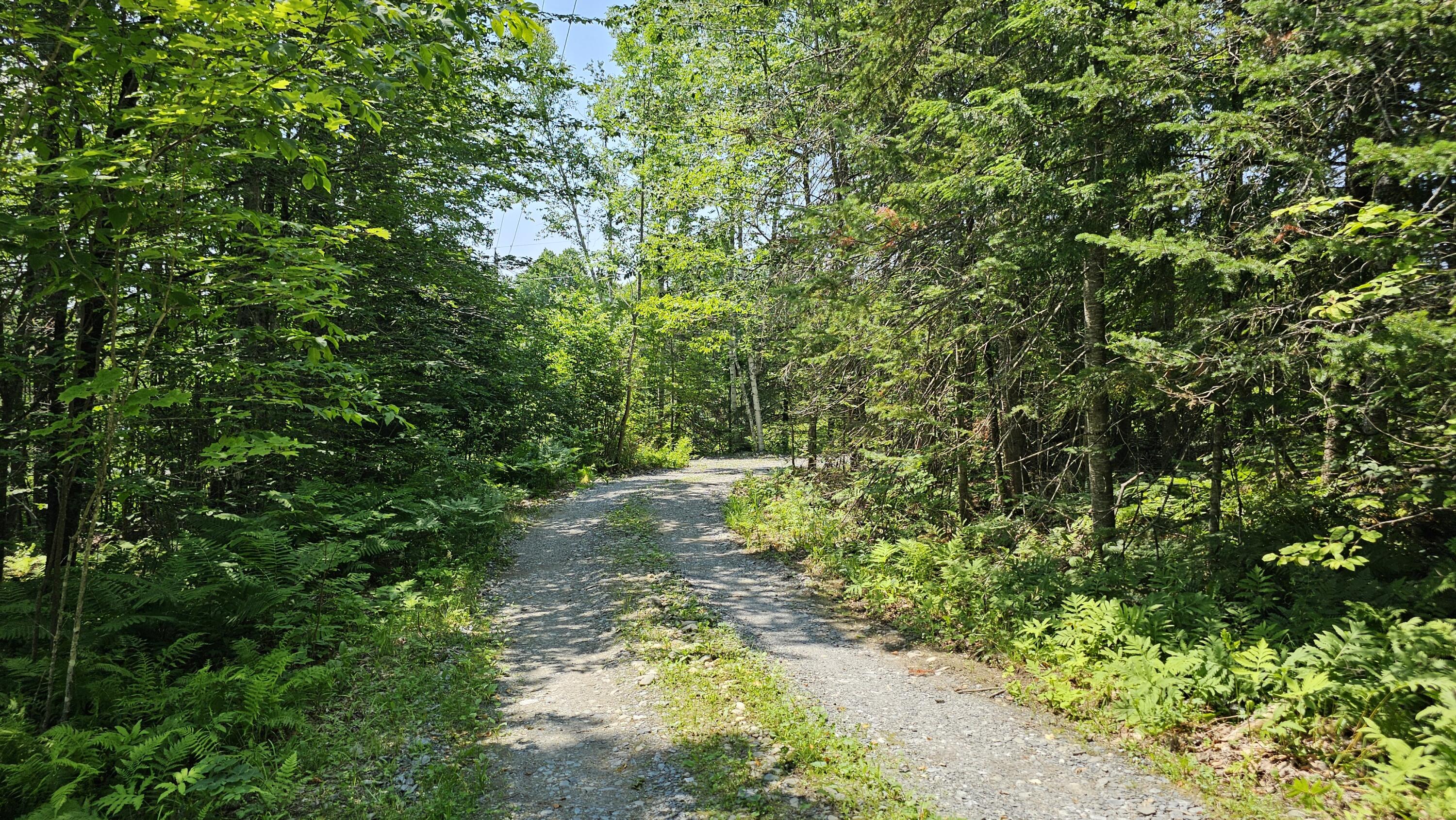 271 Bigelow Road St. Albans, ME 04971 - Photo 54 of 57 Driveway