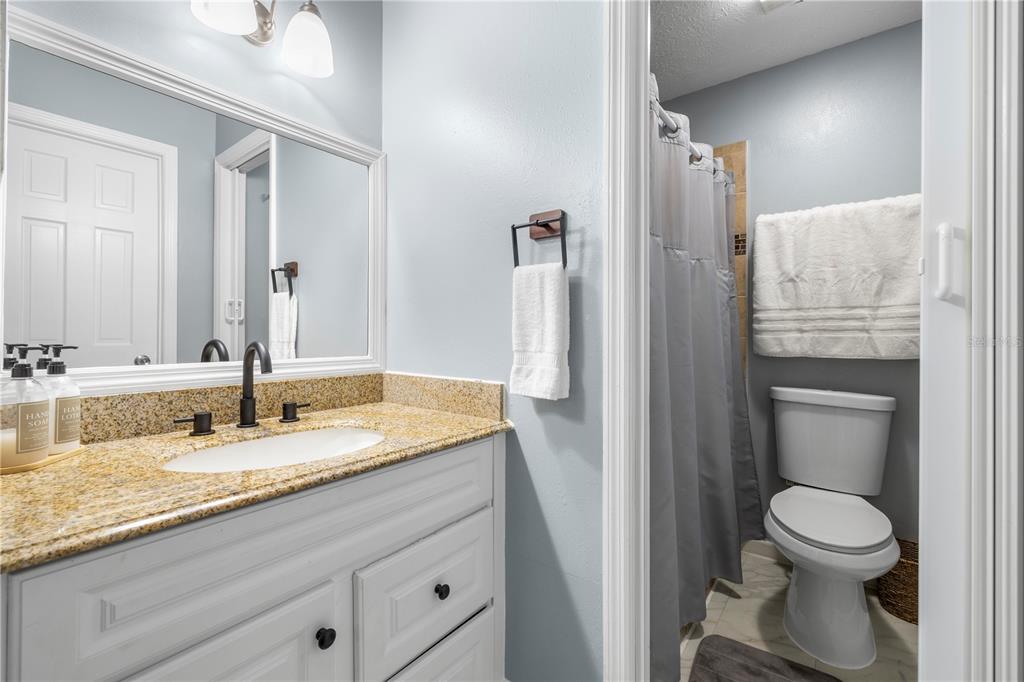 1005 Mook Street Brandon, FL 33510 - Photo 28 of 48 a bathroom with a granite countertop sink toilet and shower