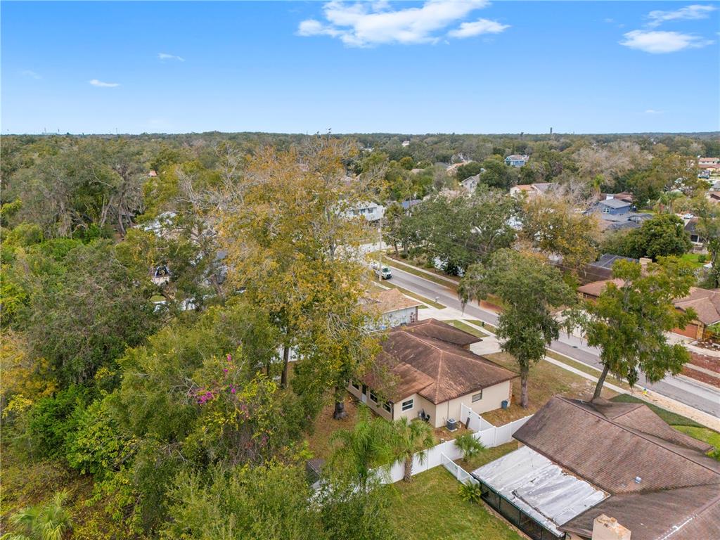 1005 Mook Street Brandon, FL 33510 - Photo 42 of 48 a view of city and an ocean