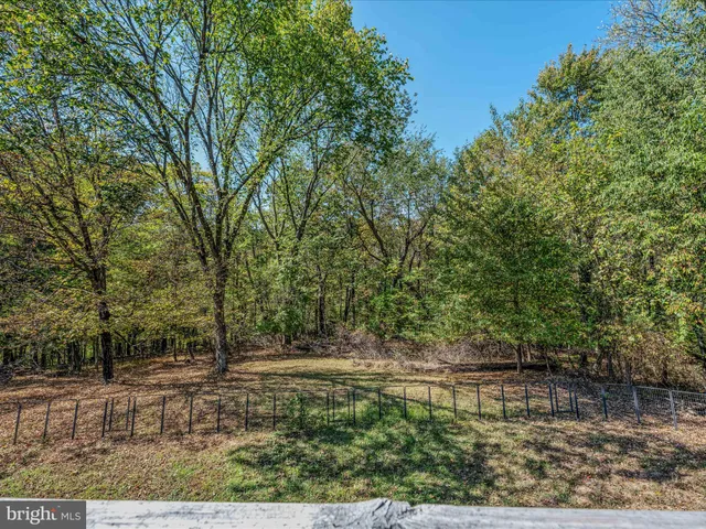 a view of backyard with green space