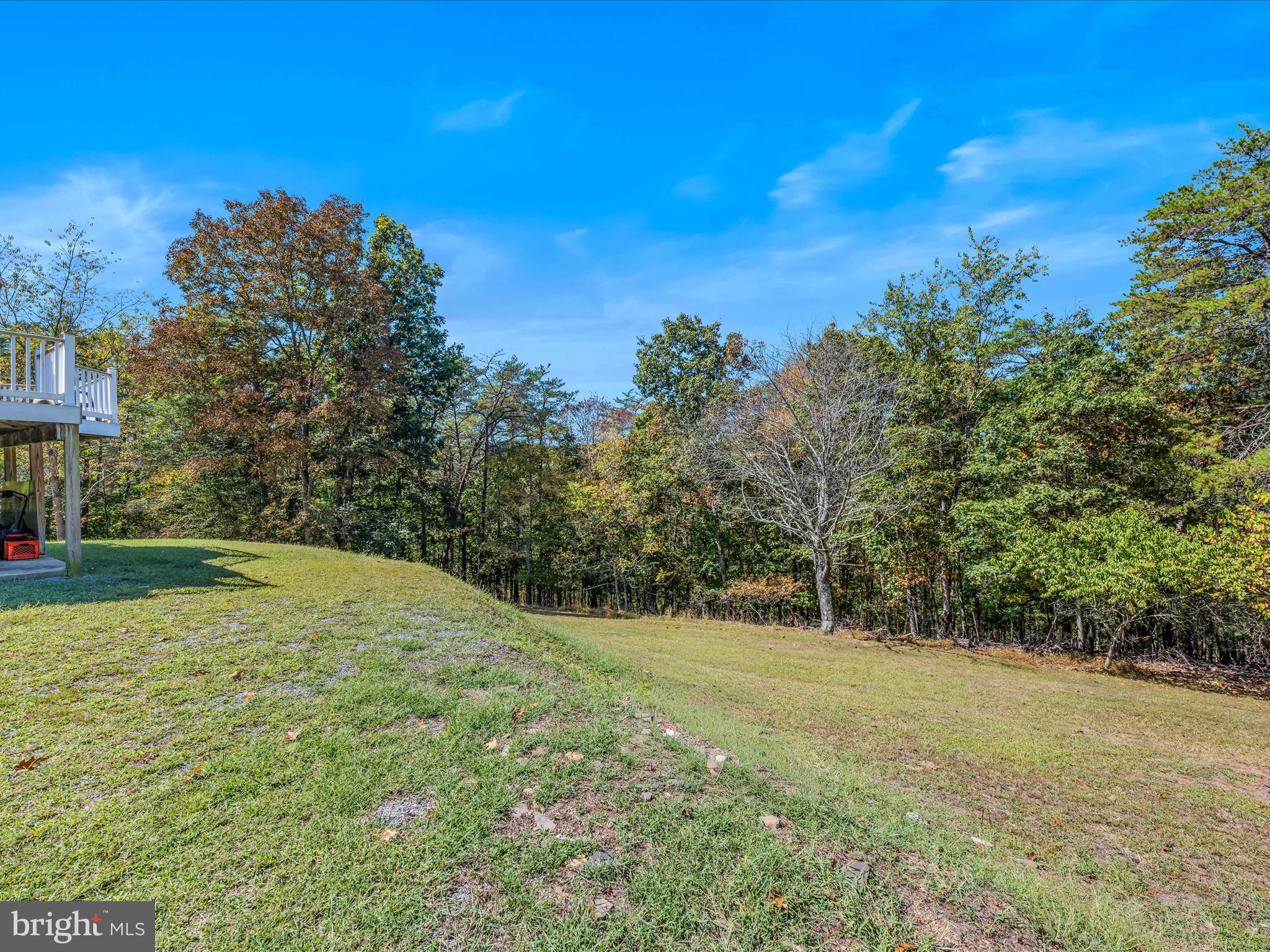 608 DeHaven Road Berkeley Springs, WV 25411 - Photo 31 of 52 a view of a yard with a tree