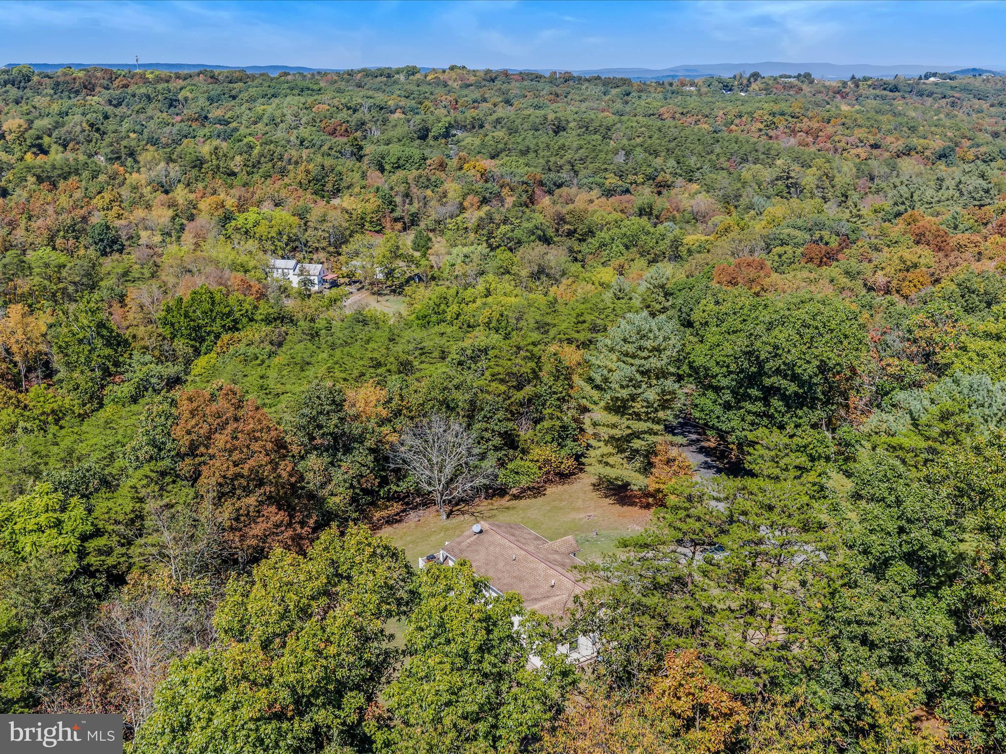 608 DeHaven Road Berkeley Springs, WV 25411 - Photo 41 of 52 a view of a forest with a street