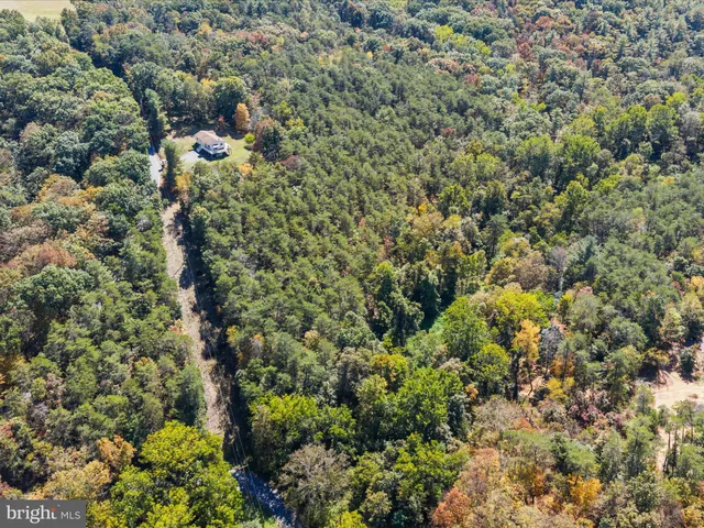 a view of a green field with lots of bushes
