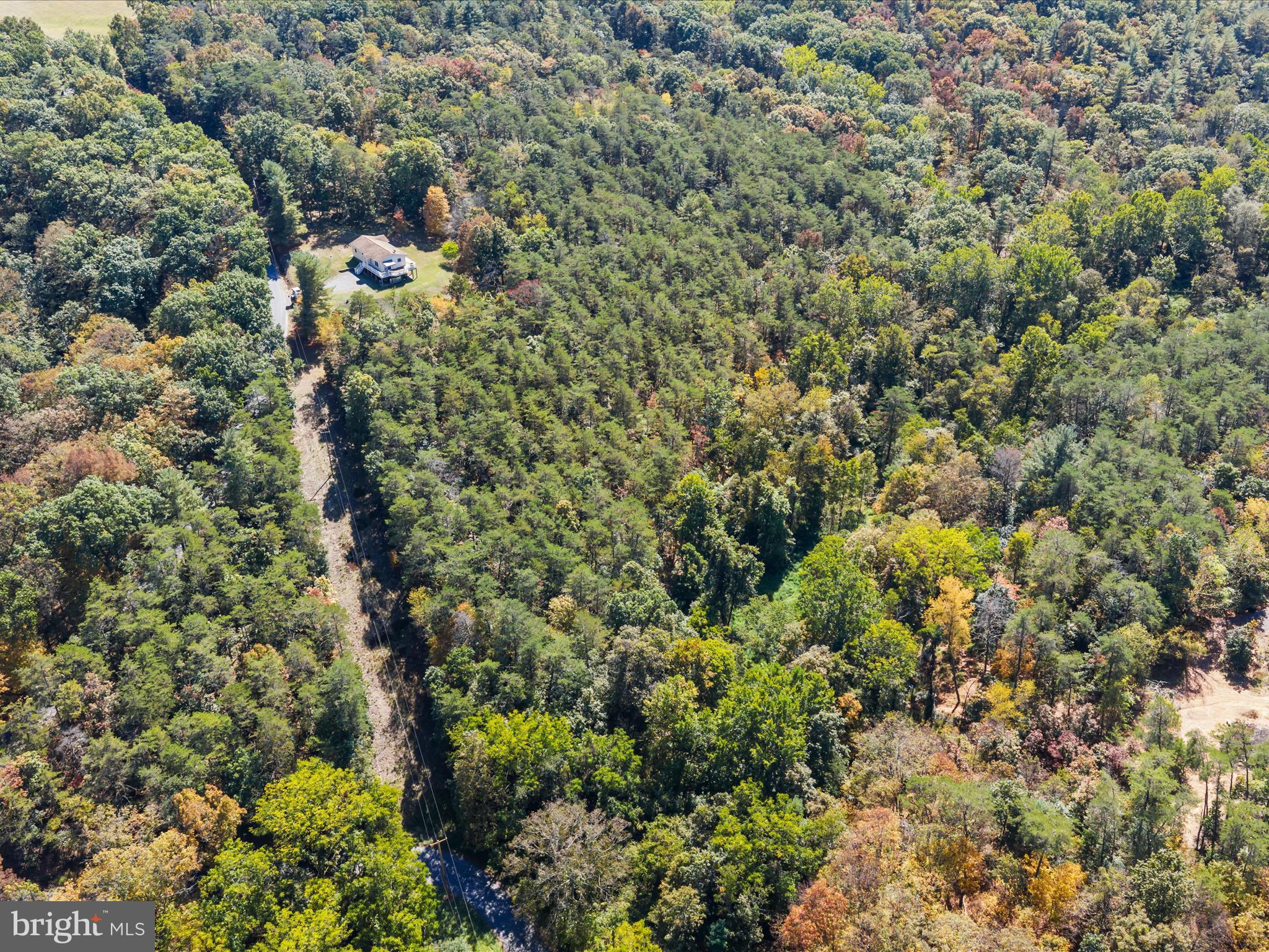 608 DeHaven Road Berkeley Springs, WV 25411 - Photo 43 of 52 a view of a house with a lush green forest