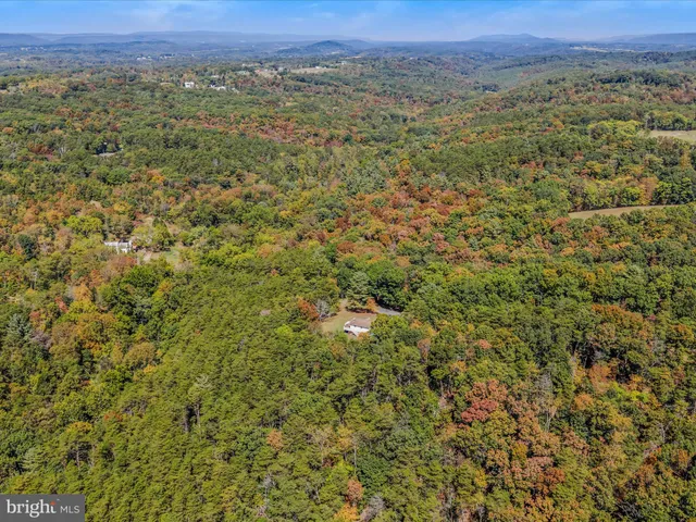 a view of a lush green field