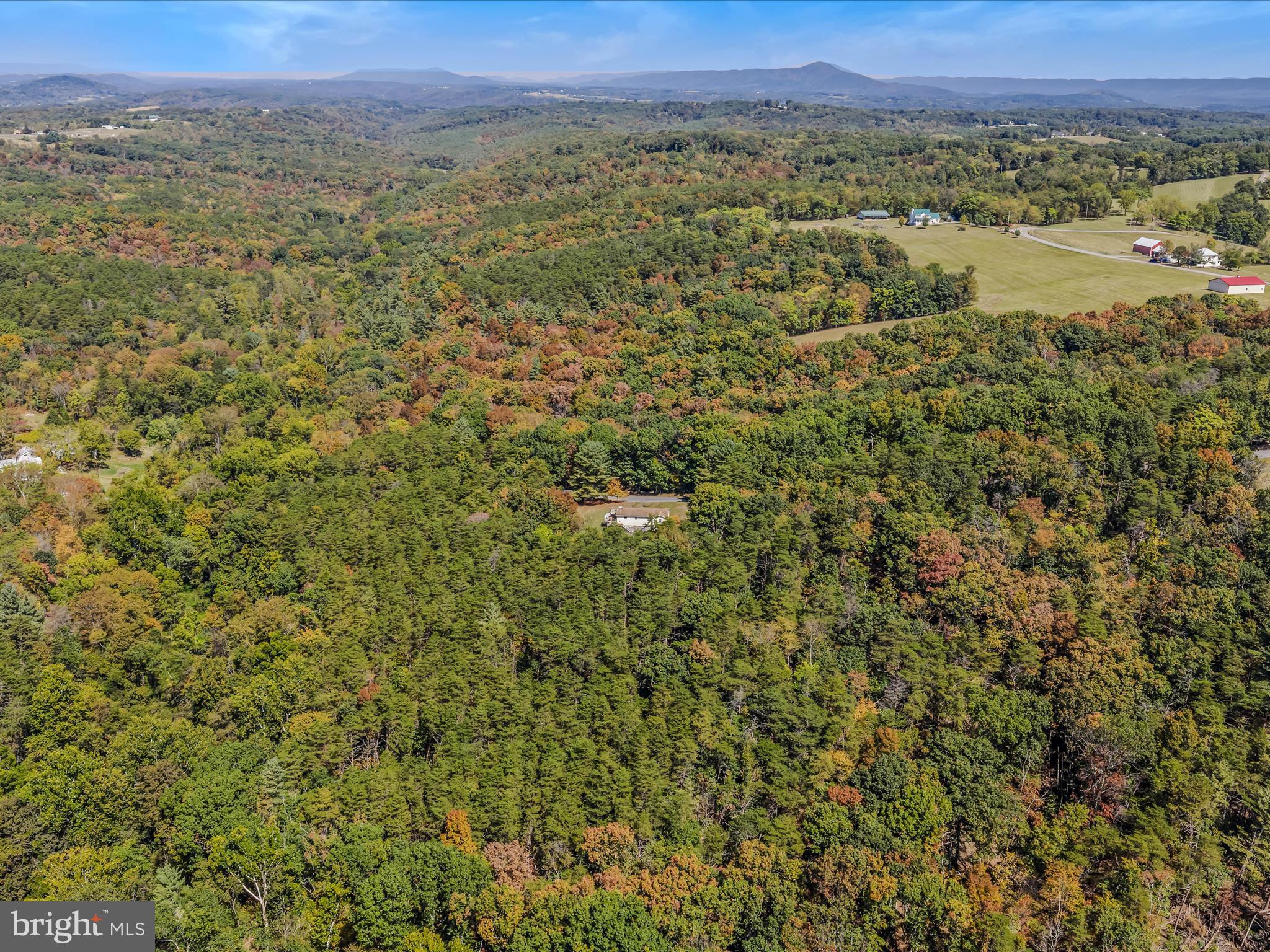 608 DeHaven Road Berkeley Springs, WV 25411 - Photo 46 of 52 a view of a lush green field
