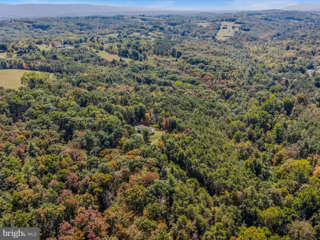 a view of a city with lush green forest
