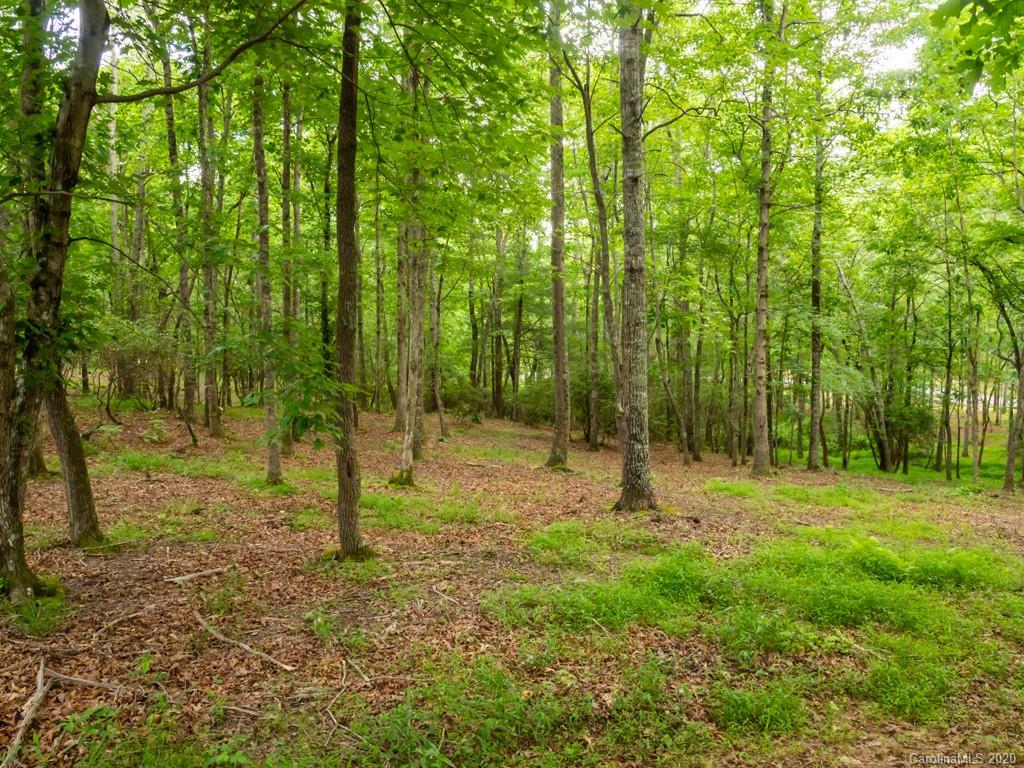Lot 3 Turkey Ridge Road, Unit 3 Fletcher, NC 28732 - Photo 1 of 8 Gallery Image 1
