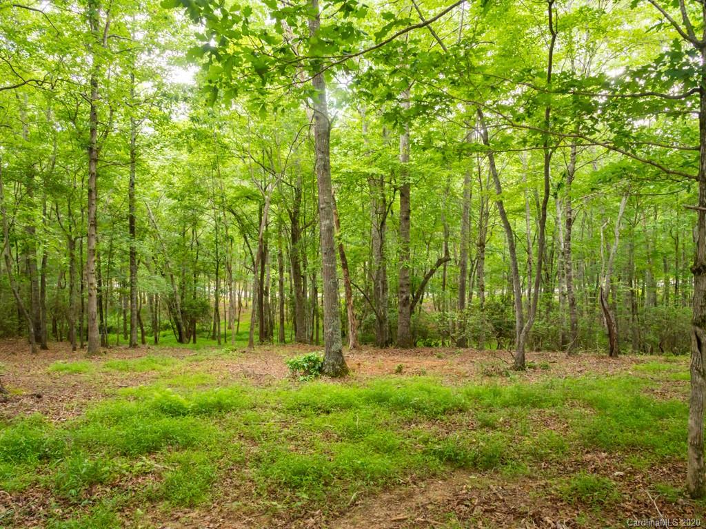 Lot 3 Turkey Ridge Road, Unit 3 Fletcher, NC 28732 - Photo 2 of 8 Gallery Image 2