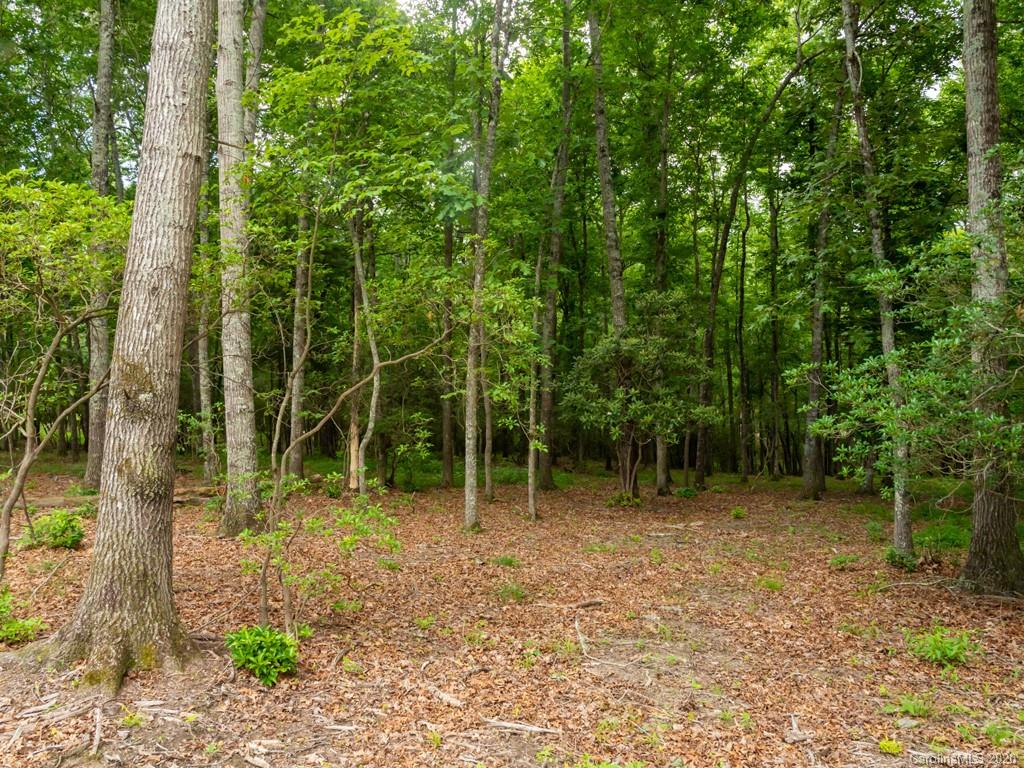 Lot 3 Turkey Ridge Road, Unit 3 Fletcher, NC 28732 - Photo 5 of 8 Gallery Image 5