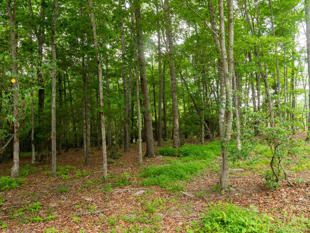 Lot 3 Turkey Ridge Road, Unit 3 Fletcher, NC 28732 - Photo 6 of 8 Gallery Image 6