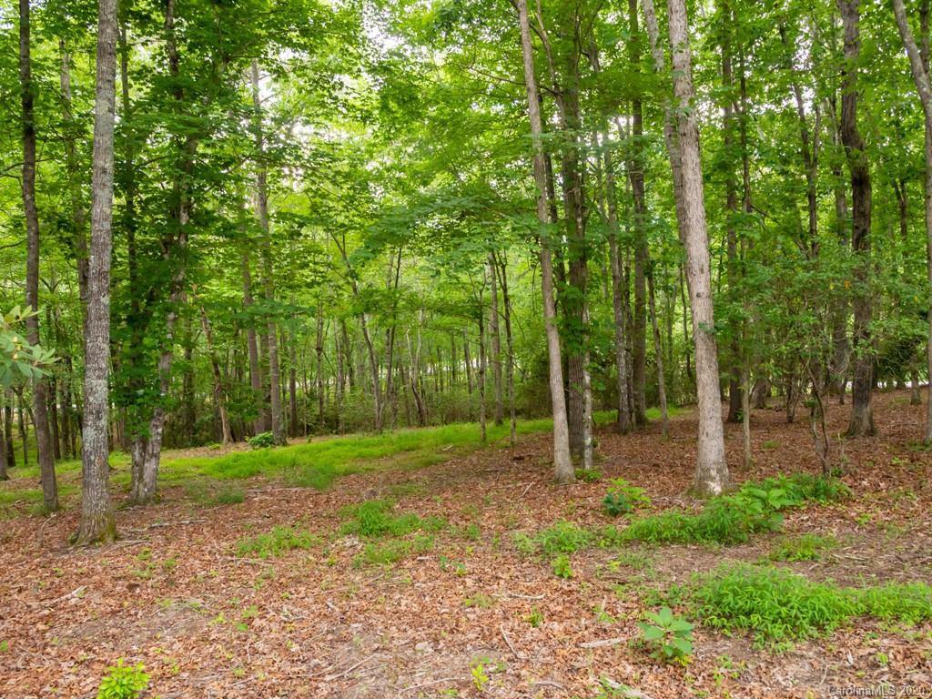 Lot 3 Turkey Ridge Road, Unit 3 Fletcher, NC 28732 - Photo 7 of 8 Gallery Image 7