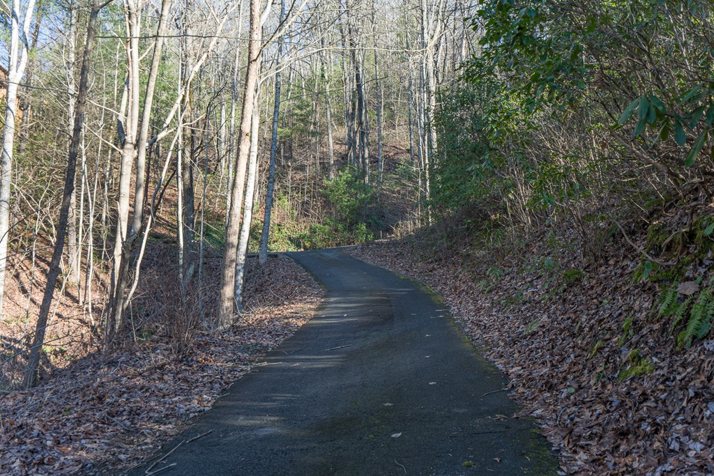 57 Boyd Ridge Drive Murphy, NC 28906 - Photo 33 of 37