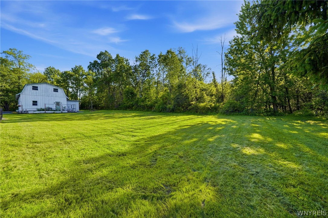 5140 Strickler Road Clarence, NY 14031 - Photo 47 of 48